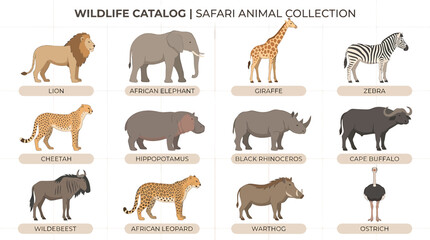 Obraz premium Safari Animals Collection: Lion, Elephant, Giraffe, Zebra, Cheetah, Rhino, Buffalo, Wildebeest, Leopard, Warthog, Ostrich