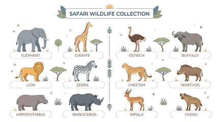 Obraz premium Safari Wildlife Collection: African Animals Illustrations Set