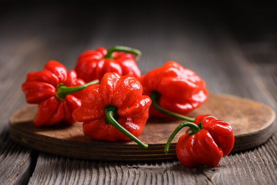Red habanero peppers arranged on wooden board close view. Fresh chili pods natural food styling with soft depth