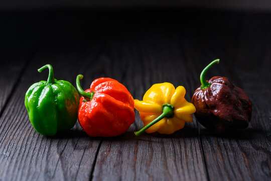 Mixed habanero peppers in row on dark background minimal composition. Fresh chili assortment green red yellow chocolate varieties