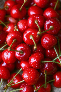 Macro close up of cherries with water droplets. Fresh juicy red fruit texture, summer harvest concept