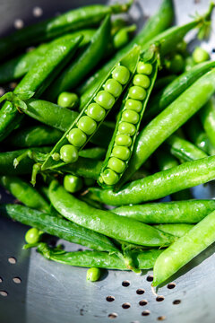 Green peas in metal colander with water drops. Fresh vegetable food before cooking