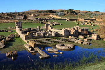 Obraz premium selinunte archaeological site ancient Greece remains of the city archaeology Sicily