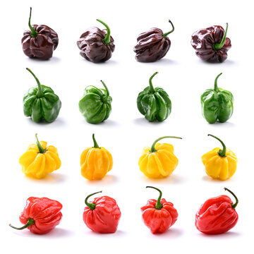 Collection of habanero peppers in multiple colors arranged in grid on white background. Red yellow green chocolate chili, variety set, isolated composition