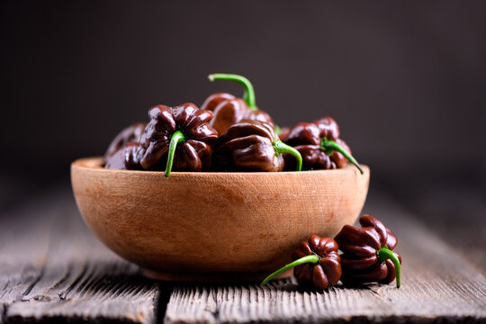 Chocolate habanero peppers in bowl with few pieces around. Fresh chili pods natural rustic composition soft background