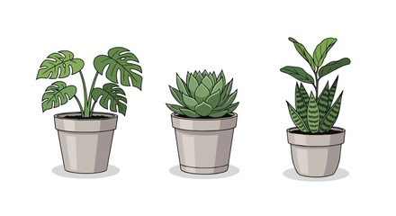 Fototapeta premium Set of Three Potted Houseplants Vector Illustration Featuring Monstera Deliciosa, Succulent, and Snake Plant for Home Decor and Indoor Gardening