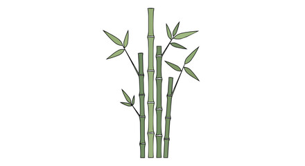 Naklejka premium Green Bamboo Stalks and Leaves Minimalist Vector Illustration on White Background