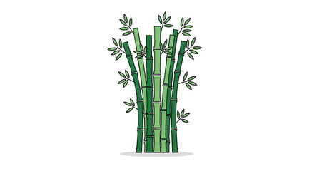 Obraz premium Green Bamboo Tree Stalks with Leaves Vector Illustration Hand Drawn Style Isolated on White Background