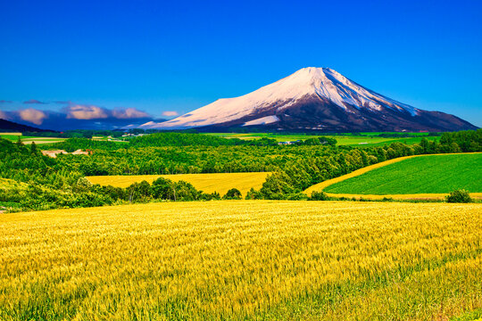 美瑛の美しい田園風景と富士山合成
