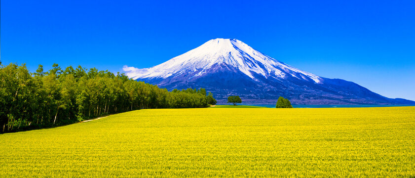 美瑛の美しい田園風景と富士山合成