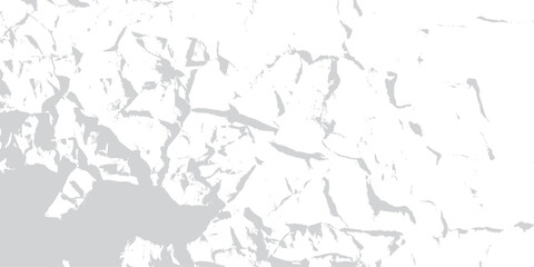Detailed vector map of Europe silhouette featuring a white paint abstract background and old paper tree texture with country borders for a world geography design © Asad Shehbaz