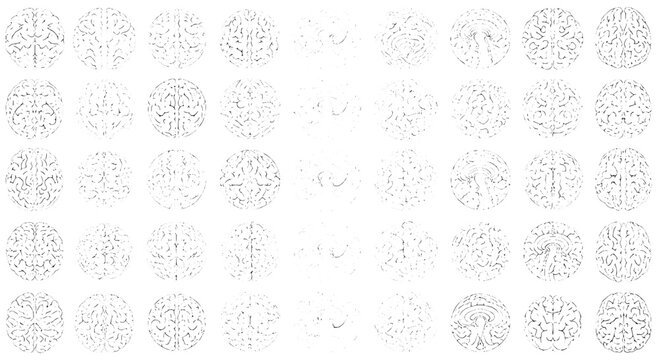 Brains medical illustration set with detailed anatomical structures and neural pathways featuring brain, anatomy, neurons with synapses and cortex