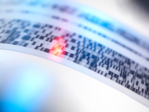 Macro view of a glowing DNA autoradiogram and genetic profile