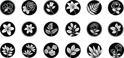 Collection of 15 black and white circular featuring various flowers and leaves leaf rose lily fern © hr graphics