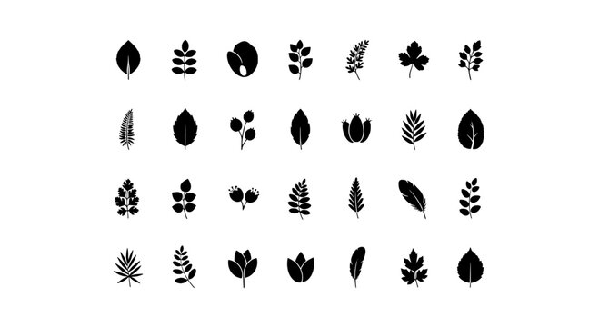 Leaf icon set with black botanical silhouettes, scattered leaves, twigs, seeds and foliage for nature themed designs