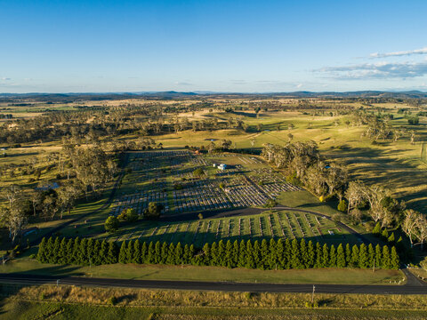 Regional cemetery with rows of graves in rural landscape