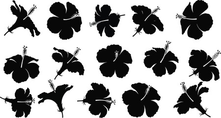Collection of black hibiscus flower silhouettes in various poses on white background © hr graphics