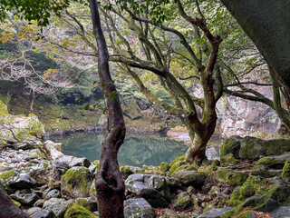 Obraz premium Korea Jeju hiking course lake view