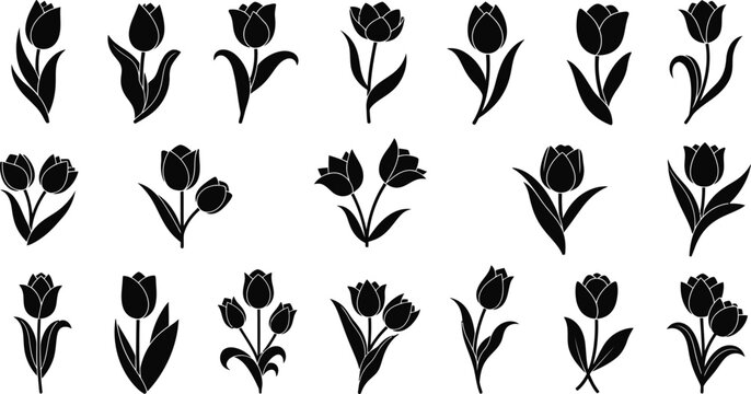 Collection of black silhouette tulip with varying stems and leaf arrangements flower white