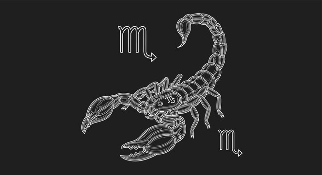 Detailed white line art illustration of a scorpion representing the scorpio zodiac sign on a solid black background.