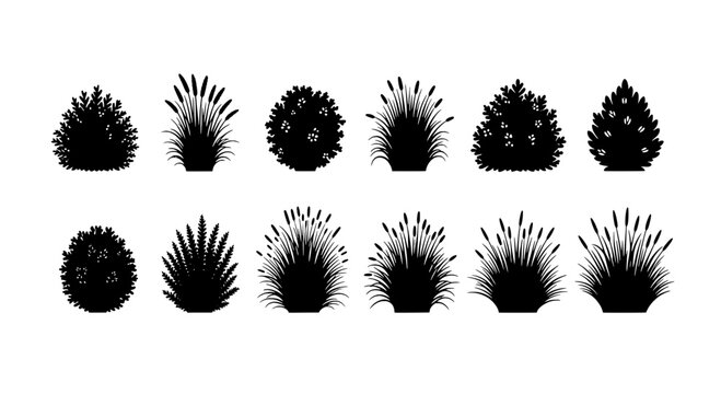 Plants set with various shapes and styles in black silhouette featuring nature, botanical, garden with flora and vegetation elements for leafy, bushy