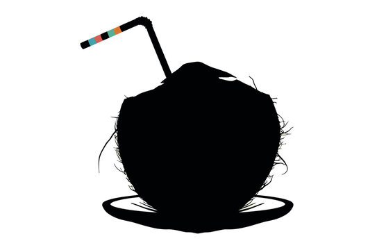 Fresh Coconut Drink Tropical