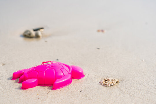 Beachside Turtle Mold: A vibrant pink turtle mold, resting on the soft, sun-kissed sands of a beach, evokes a sense of childhood wonder and coastal charm. 