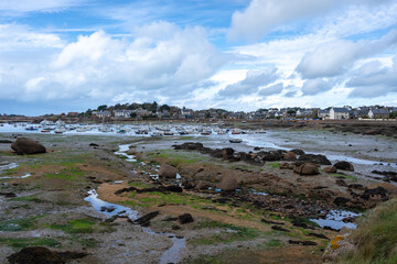 Ploumanach harbor at low tide on the Pink Granite Coast, Brittany, France © daboost