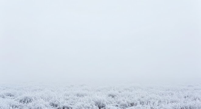 Frost covered grassy field on a foggy winter day with clear sky above
