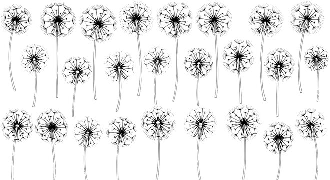 Dandelion flower doodle set with thin black stems and stippled seed head texture for spring nature design