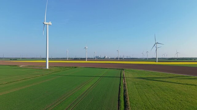 High angle aerial view of a wind farm installation nested within vibrant yellow canola fields at sunset in England