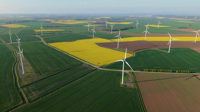 Aerial drone view of a massive wind turbine array in blooming yellow rapeseed fields during a golden hour sunset in Keadby UK