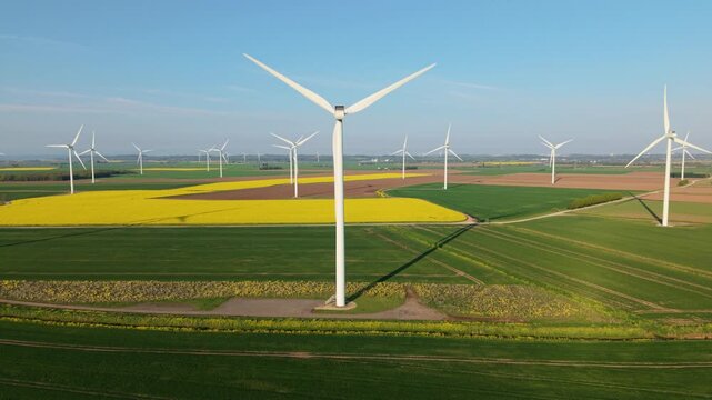 Aerial drone view of a massive wind turbine array in blooming yellow rapeseed fields during a golden hour sunset in Keadby UK