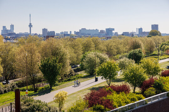 Two people walking through a lush green park in Rotterdam, Netherlands, one holding a bicycle, with modern city skyline in the background on a sunny day, showcasing urban lifestyle and sustainability.
