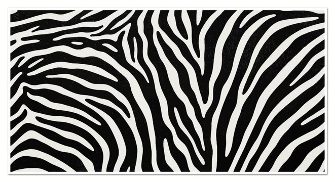A close-up, panoramic view of black and white zebra stripes, showcasing the natural pattern and texture of the animal's coat.