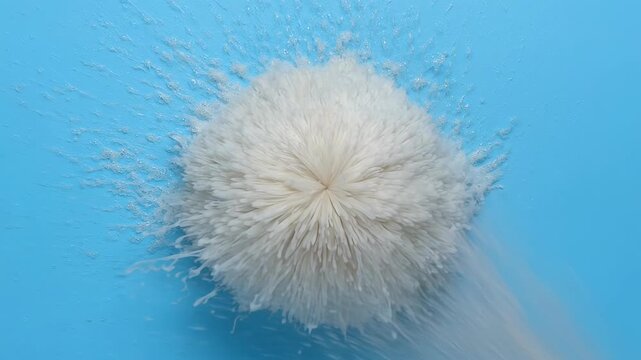 A fragile dandelion bursts into motion, scattering seeds across vivid blue&mdash;symbolizing transformation, fragility, and fleeting beauty within nature&rsquo;s delicate choreography of dispersal.