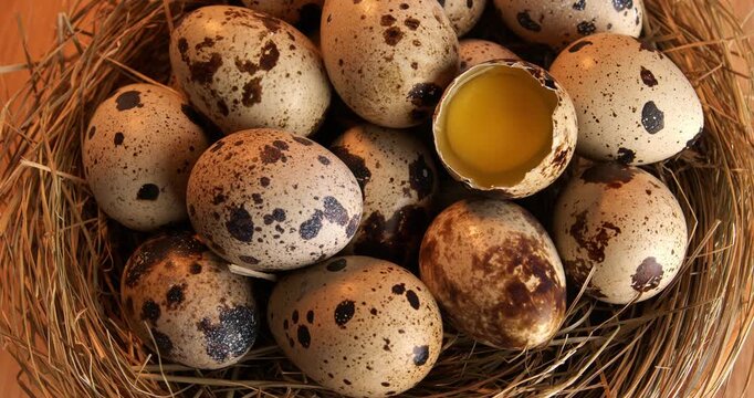 Quail eggs on a hay background, close-up footage on a rotating table. Half a quail egg among a pile of whole ones.