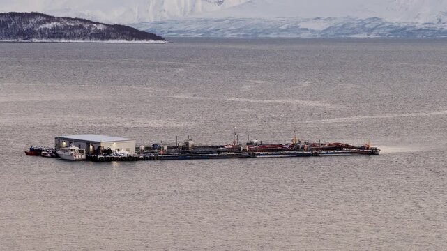 Aerial of offshore cod fish farm floating in cold Arctic sea near Ringvassoya Tromso Norway during polar night