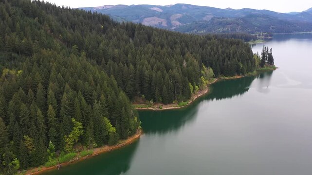 4K aerial drone footage of Yale Lake surrounded by forest in Washington, USA. Calm water, scenic shoreline and Pacific Northwest landscape, ideal for nature background and outdoor scenes