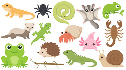 Exotic Pet Collection Lizard Snake Spider Frog Chameleon Gecko Axolotl Scorpion Ferret Iguana Snail Stick Insect Set © Yulia