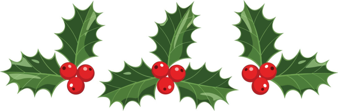 Three holly sprigs isolated on transparent background festive holiday decoration