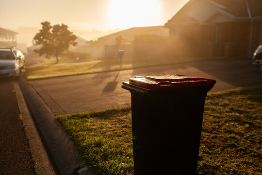 Golden sunlight on misty morning over rubbish bin out for fortnightly curbside pickup