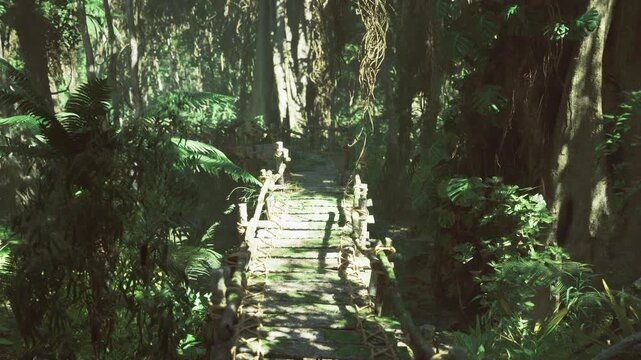 Researchers traversing rickety forest bridge at dawn, carrying gear, methodical pace, scientific survey vibe, mist lined canopy, careful footing
