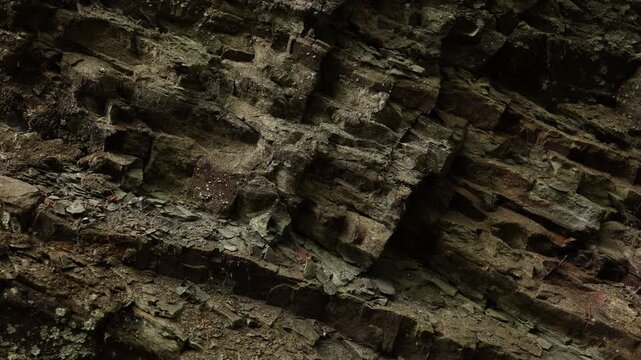 Rocks showing texture and layers in a natural setting during the day