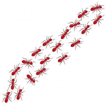 Approximately 15-20 highly stylized deep red vector art ants in a scattered line, moving across a transparent background with ample copy space, minimalist design concept of teamwork and organization