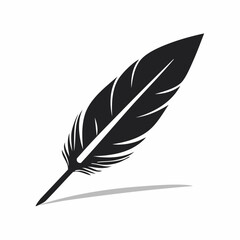 Fototapeta premium Black Feather Silhouette