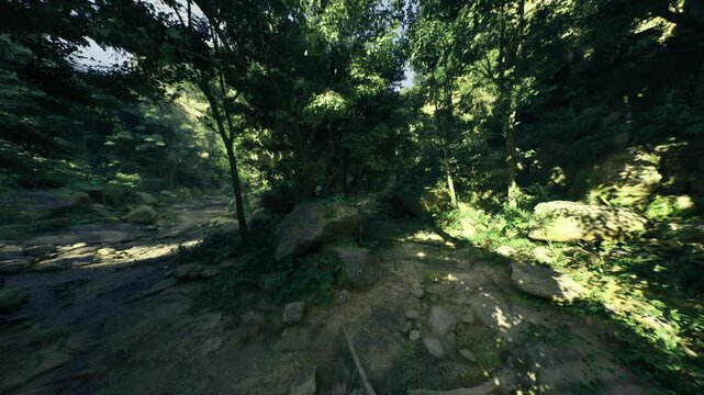 fallen log bridging shallow sunlit stream, mosscovered timber creates rustic crossing, pebblestrewn bed and gentle ripples provide motion, surrounding canopy