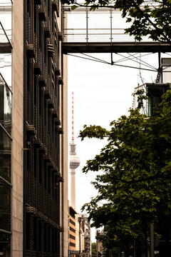 Berlin Germany street perspective framed by trees leads toward the Berliner Fernsehturm television tower shaping the urban skyline