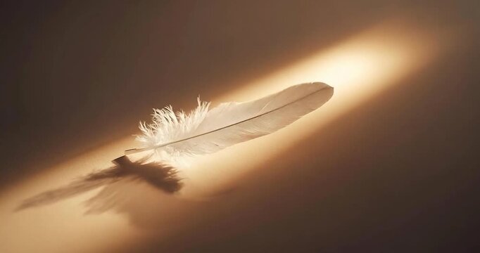 White feather illuminated by warm light casting soft shadow delicate texture calm fragility &bull; delicate white feather lying warm light with soft shadow minimalism simplicity conveying calm gentle mood