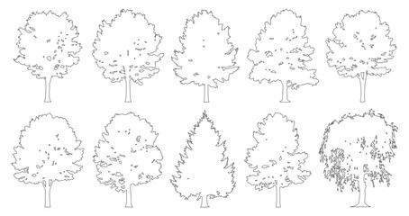 Minimal style cad mixed weeping and conifer tree line drawing, Side view, set of graphics trees elements outline symbol for architecture landscape design. Vector illustration. forest garden section © Addictive Stock